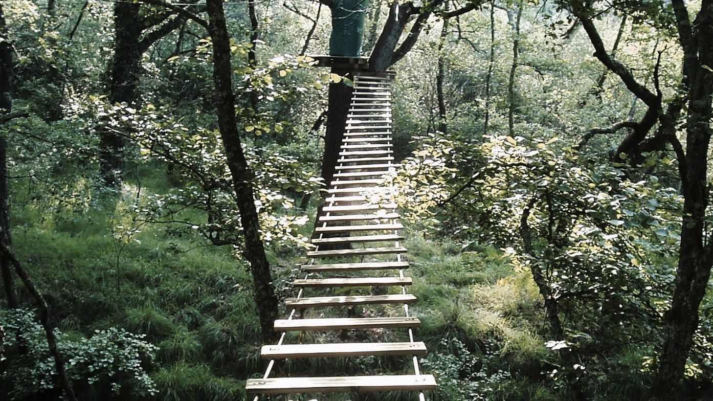 Pont en forêt